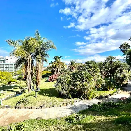 Lejlighed Bright Superior Studio With Wifi, Pool, Terrace In Puerto De La Cruz *