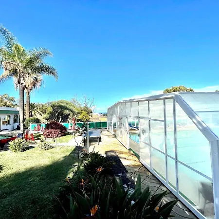 Lejlighed Bright Superior Studio With Wifi, Pool, Terrace In Puerto De La Cruz *