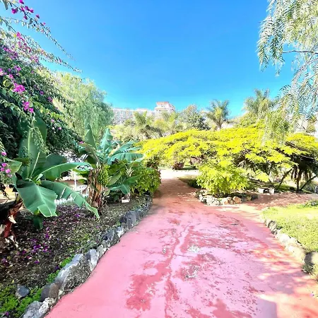Lejlighed Bright Superior Studio With Wifi, Pool, Terrace In Puerto De La Cruz *