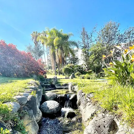 Bright Superior Studio With Wifi, Pool, Terrace In Puerto De La Cruz * Puerto de la Cruz (Tenerife)