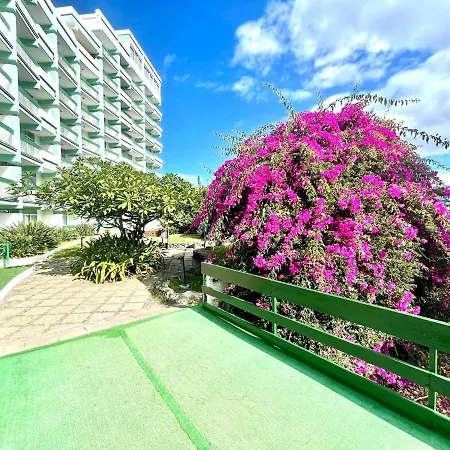 Bright Superior Studio With Wifi, Pool, Terrace In Puerto De La Cruz *