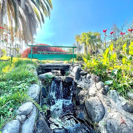 Bright Superior Studio With Wifi, Pool, Terrace In Puerto De La Cruz Lejlighed