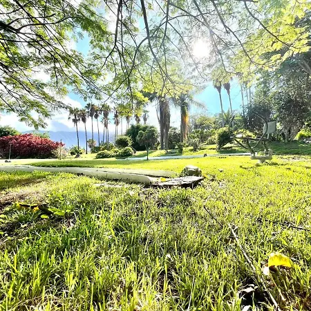 Lejlighed Bright Superior Studio With Wifi, Pool, Terrace In Puerto De La Cruz *