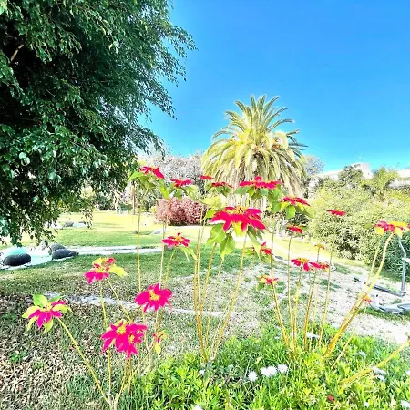 Bright Superior Studio With Wifi, Pool, Terrace In Puerto De La Cruz Lejlighed Puerto de la Cruz (Tenerife)