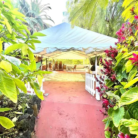 Bright Superior Studio With Wifi, Pool, Terrace In Puerto De La Cruz Apartament Puerto de la Cruz (Tenerife)