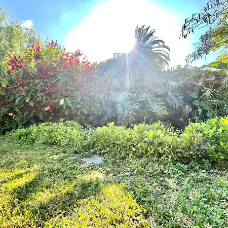 Bright Superior Studio With Wifi, Pool, Terrace In Puerto De La Cruz Apartament