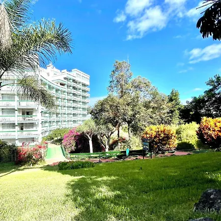 Bright Superior Studio With Wifi, Pool, Terrace In Puerto De La Cruz